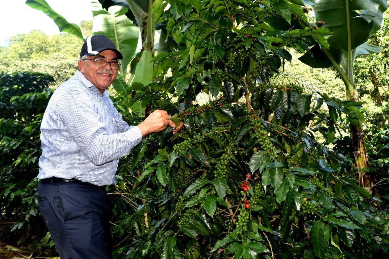 Director Indocafé cita logros en su gestión