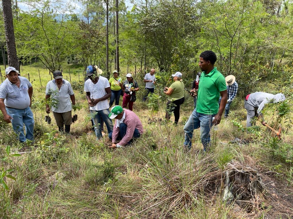 Desarrollo Fronterizo realiza jornada de reforestación para contribuir a preservar el medio ambiente.