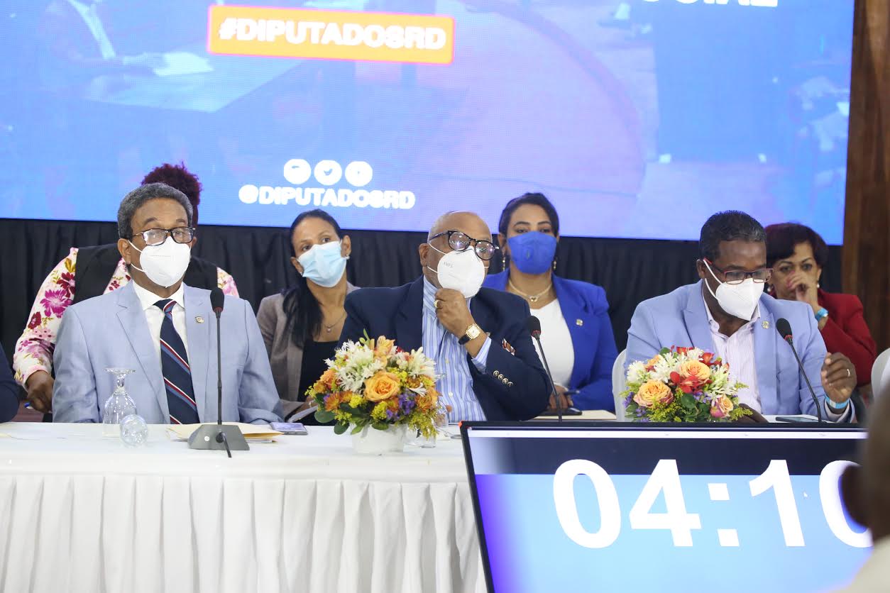 Comisión bicameral que estudia modificación de Ley 87-01 realiza vista pública en región Este