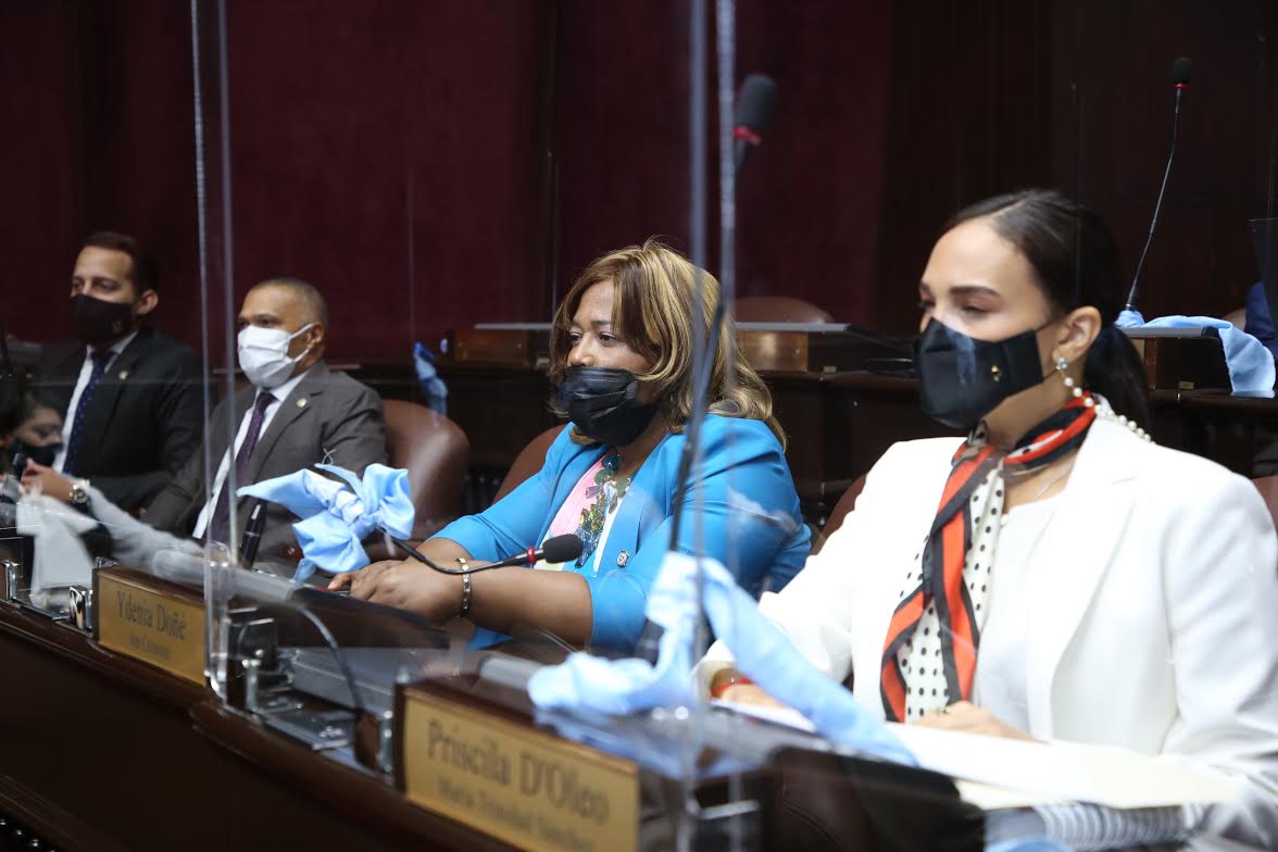 Diputados aprueban en primera lectura proyecto de ley que regula lenguaje de señas y sistema Braille