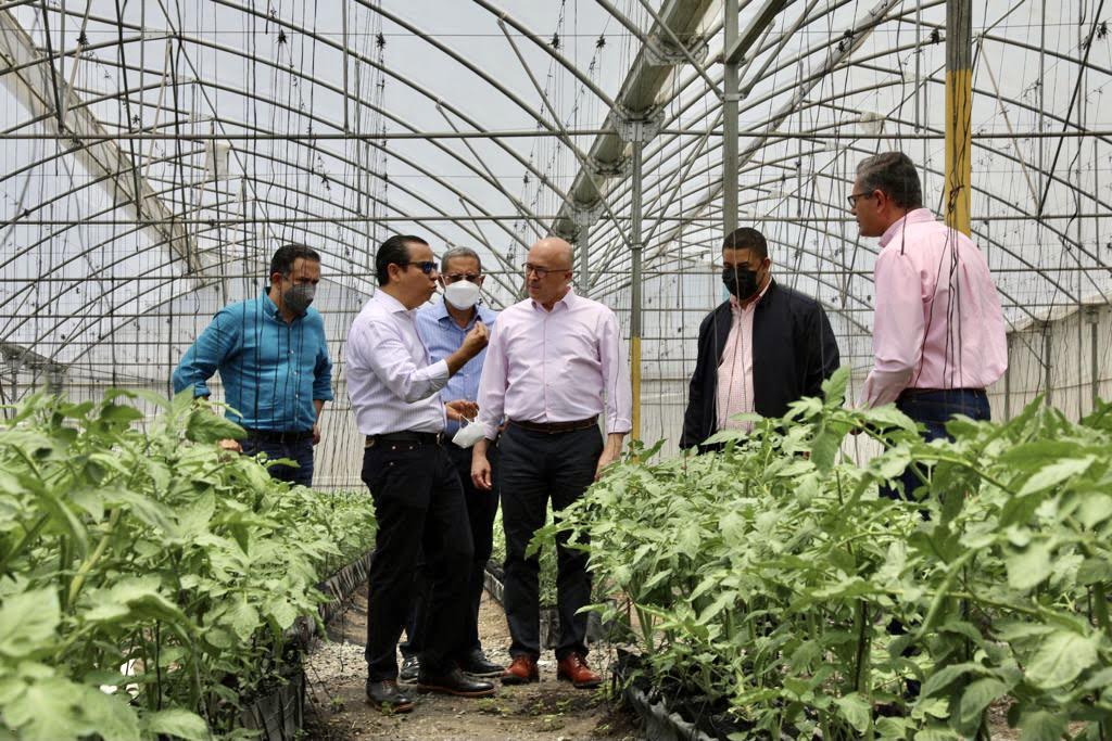 Francisco Domínguez Brito: “Sin apoyo a nuestros productores, los alimentos no bajarán de precio”.