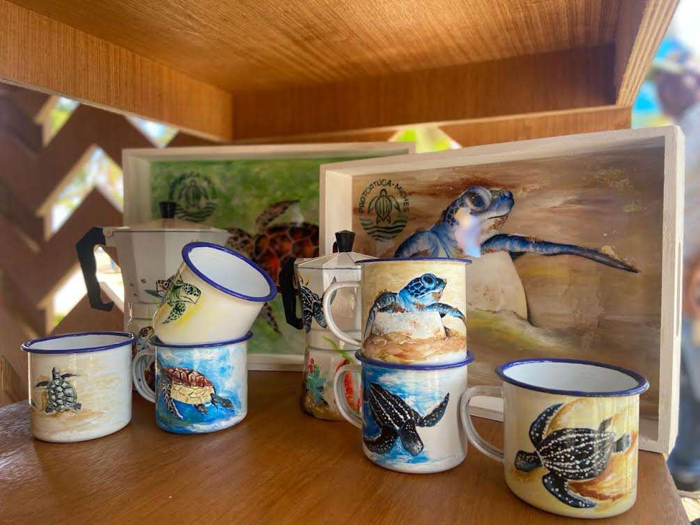 Medio Ambiente y PROMICHES inician el monitoreo de la Temporada de Anidación de Tortugas Marinas 2024