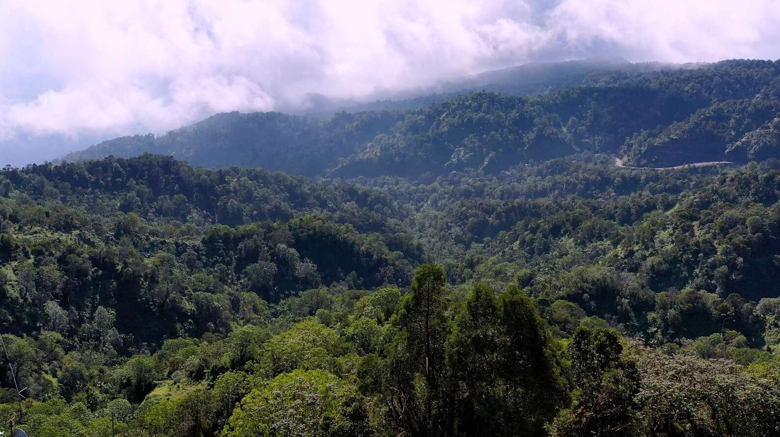 Medio Ambiente finaliza la socialización del proyecto Reserva de Biosfera Madre de las Aguas