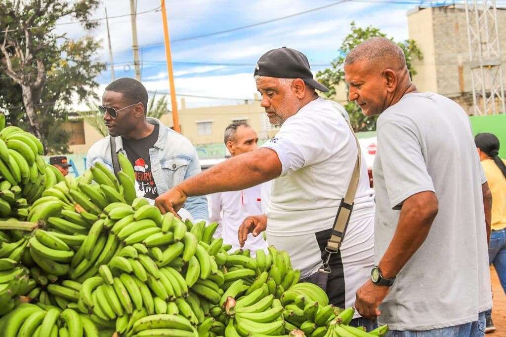 Compran 14 millones de plátanos a productores afectados por lluvias