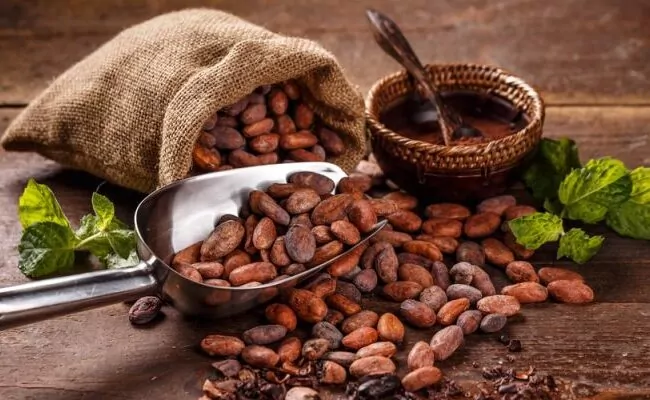Exportaciones agro caen 5.8% en primer trimestre por bajas en cacao, banano y tabaco