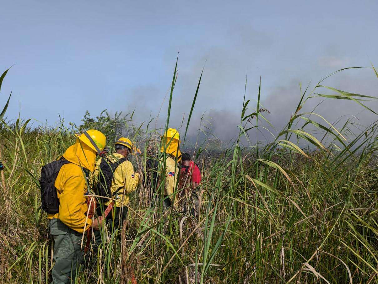 Bomberos y guardaparques extinguen incendio en Cabarete y Goleta