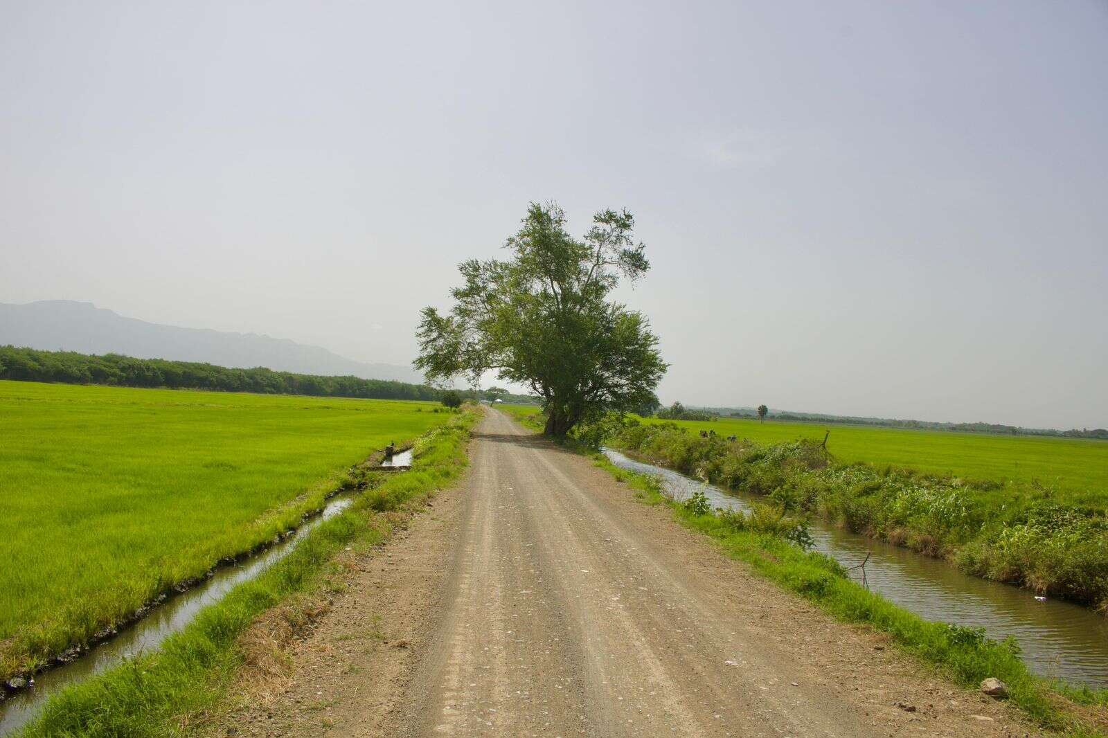 Agricultura entrega 17 km. de caminos vecinales en Valverde