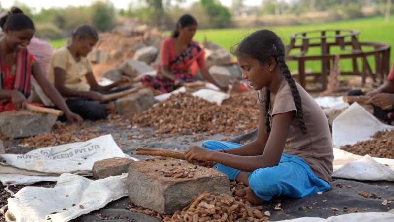 Efemérides: Día Mundial contra el Trabajo Infantil se conmemora el 12 de junio de cada año