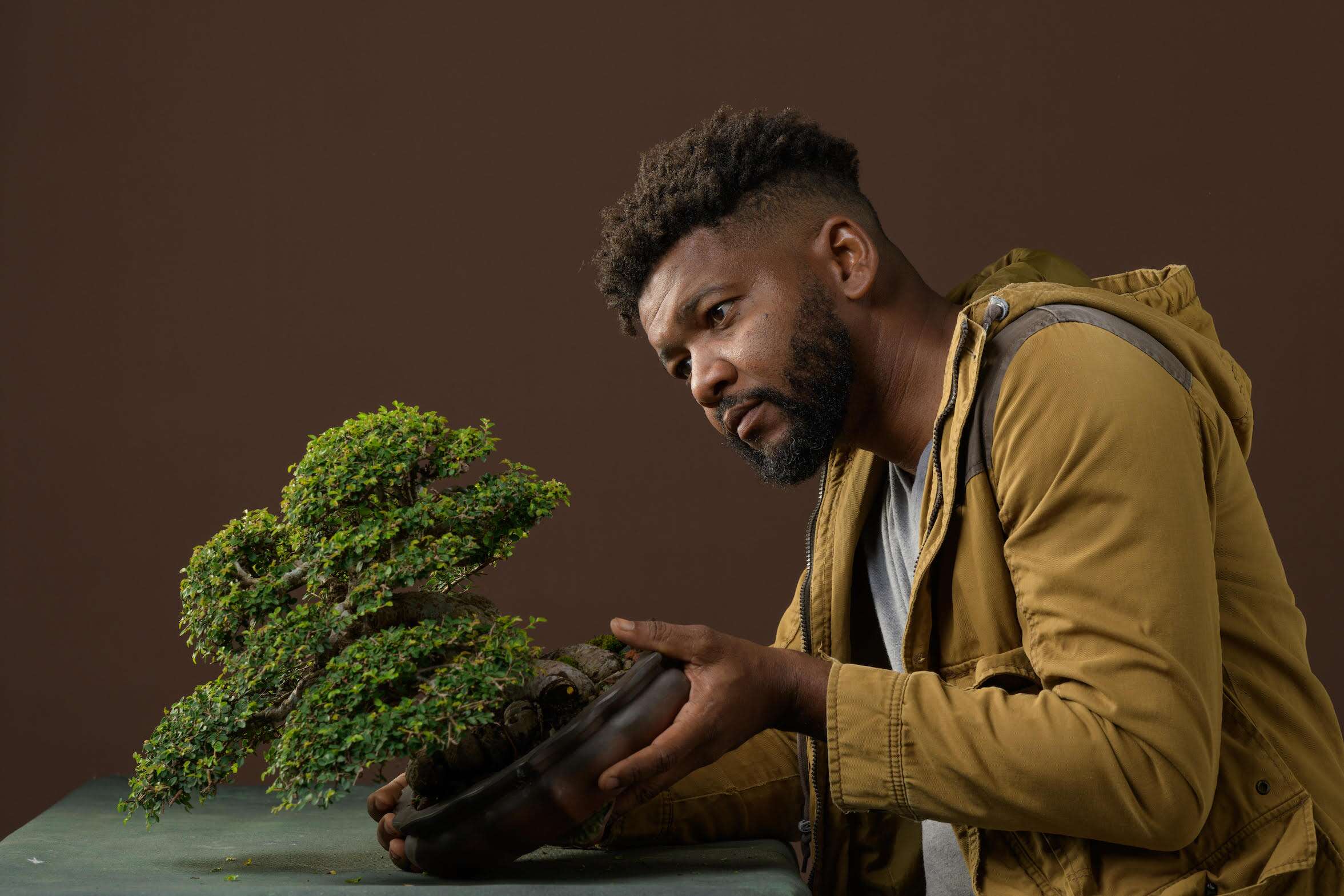 Vuelve la Exposición Nacional de Bonsai en Ágora Mall