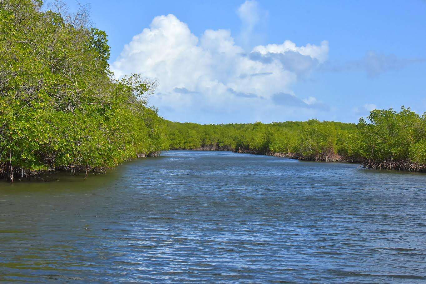 Montecristi se activa al recibir plataforma Turismo en cada Rincón