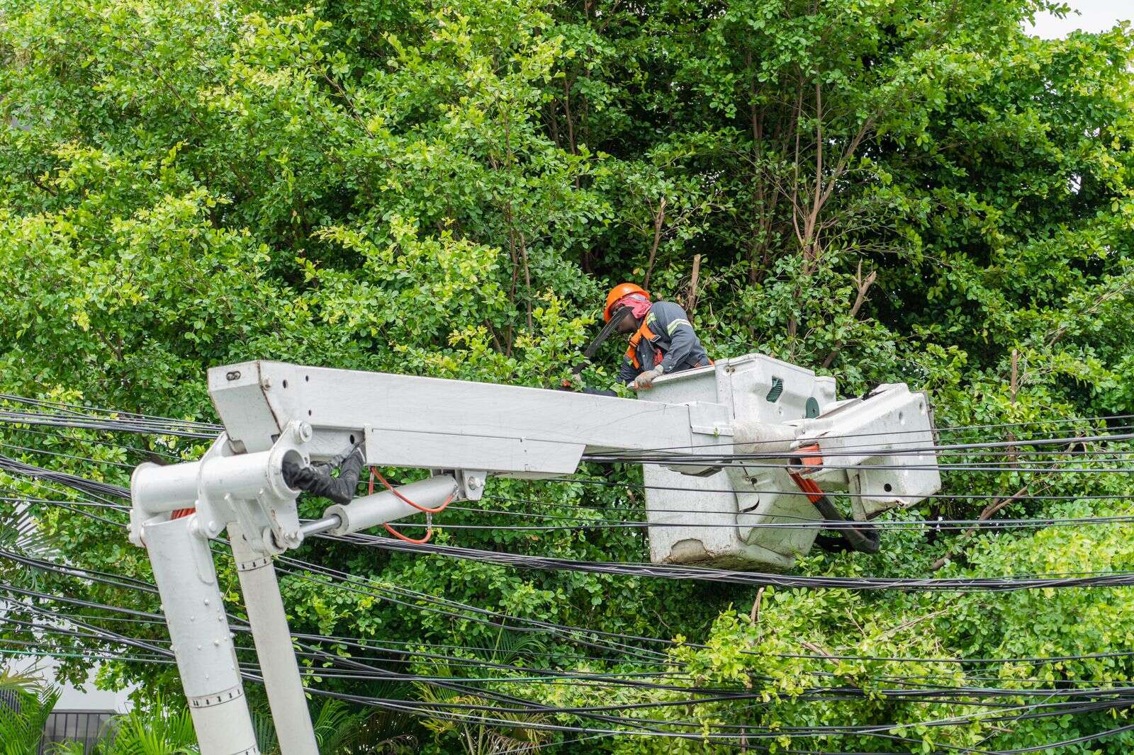 Edesur refuerza medidas en circuitos eléctricos de Barahona, Pedernales, Neiba y Jimaní por huracán Beryl