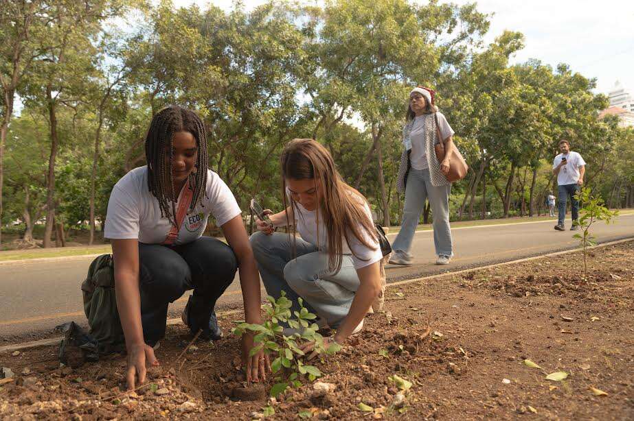 Medio Ambiente y Alcaldía del DN arborizan el Mirador Sur en jornada «Ecohéroes»