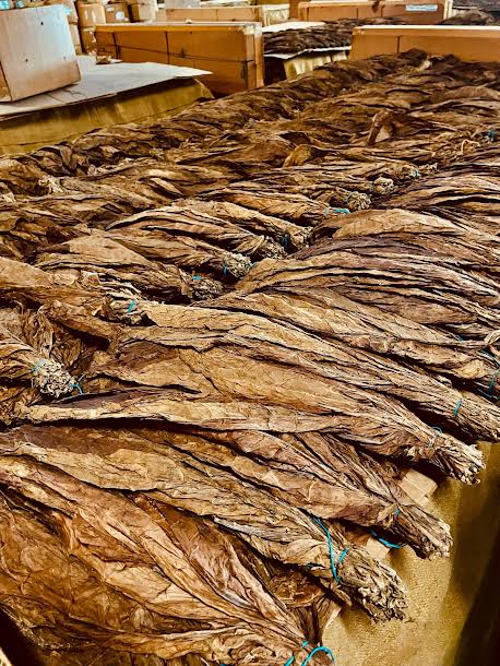 Empresa Hondureña de Tabaco comprará el 30% materia prima a República Dominicana