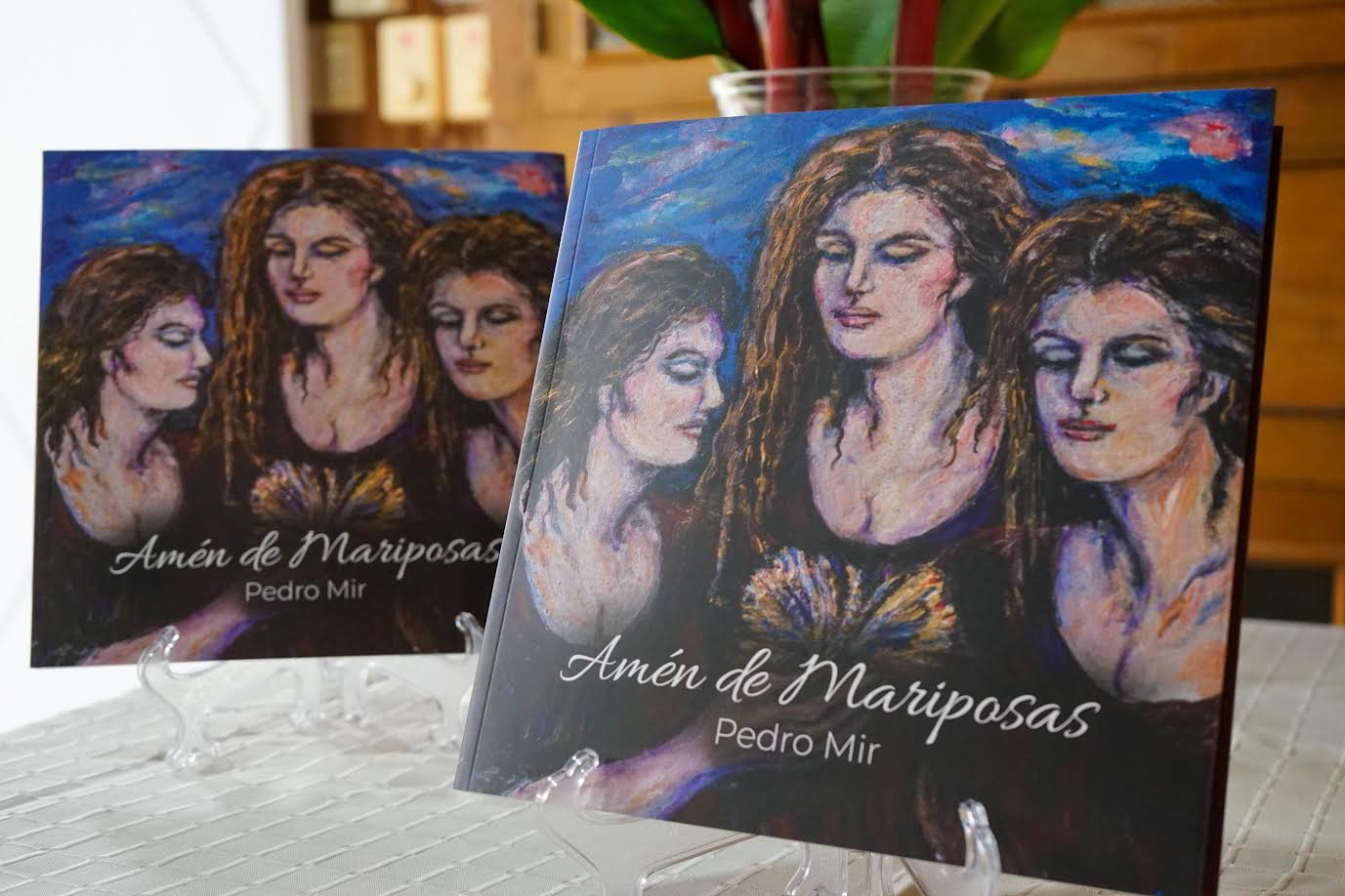 Superintendencia de Seguros entrega “Amén de Mariposas” al museo