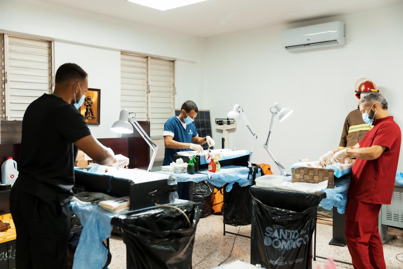 Alcaldía del Distrito Nacional continúa jornada de bienestar para perros y gatos