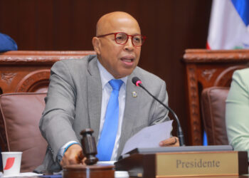 Cámara de Diputados aprueba en primera lectura proyecto de ley orgánica que crea el DNI