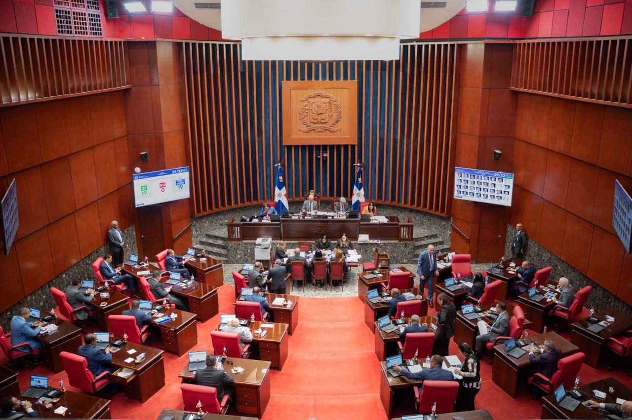 Senado aprueba en primera lectura ley orgánica que deroga varios artículos de la Ley Orgánica del Régimen Electoral 20-23