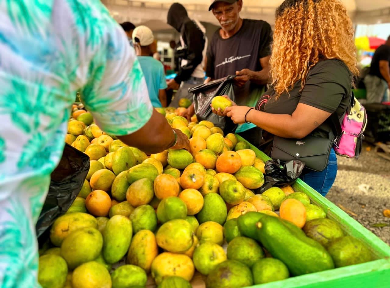 Expo Mango 2026 culmina con éxito y reafirma a Baní como Capital del Mango