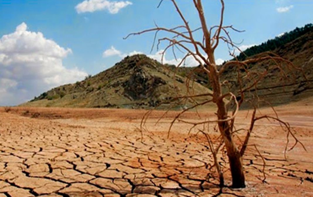 17 de junio: Día Mundial de Lucha contra la Desertificación y la Sequía