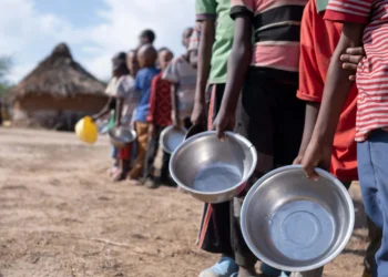 ONU alerta sobre agravamiento del hambre en 13 puntos críticos del mundo