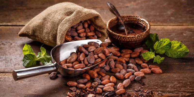 7 de julio de 2026 – Día Mundial del Cacao